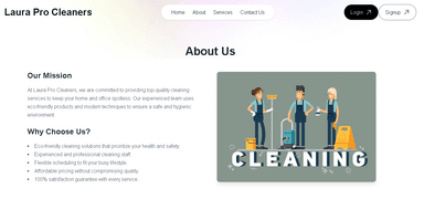 Laura pro cleaners